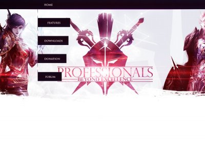 Lineage2 Professionals