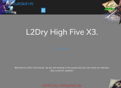 L2Dry server screenshot - High Five gameplay